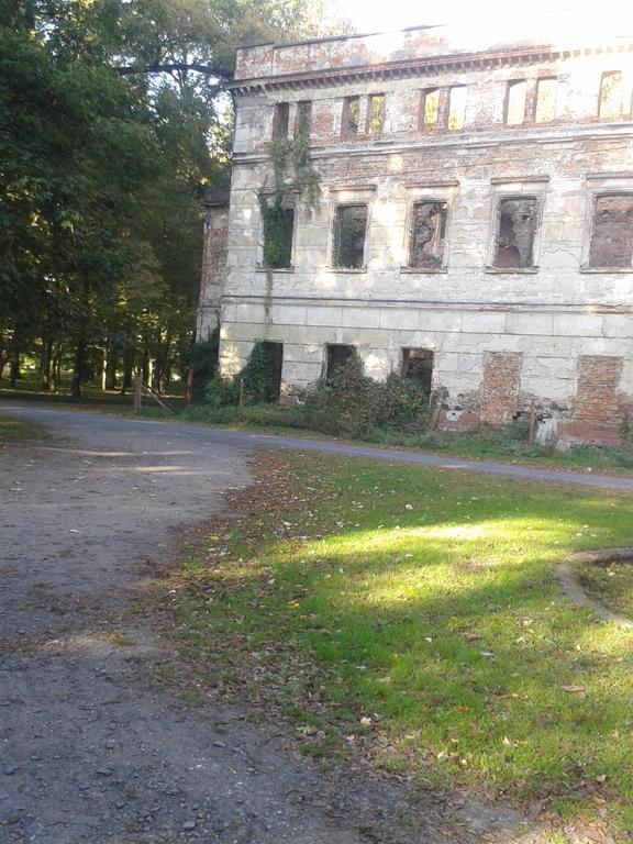 Gosciniec Sloneczny Hotel Drzonków Buitenkant foto