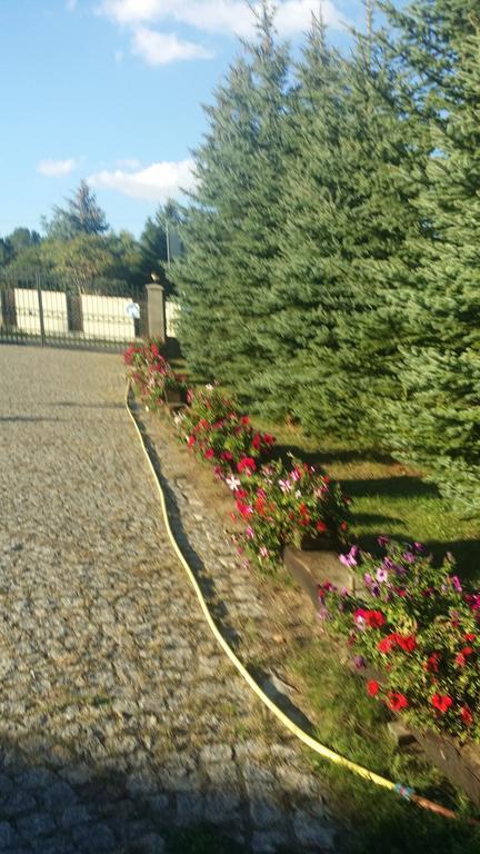 Gosciniec Sloneczny Hotel Drzonków Buitenkant foto